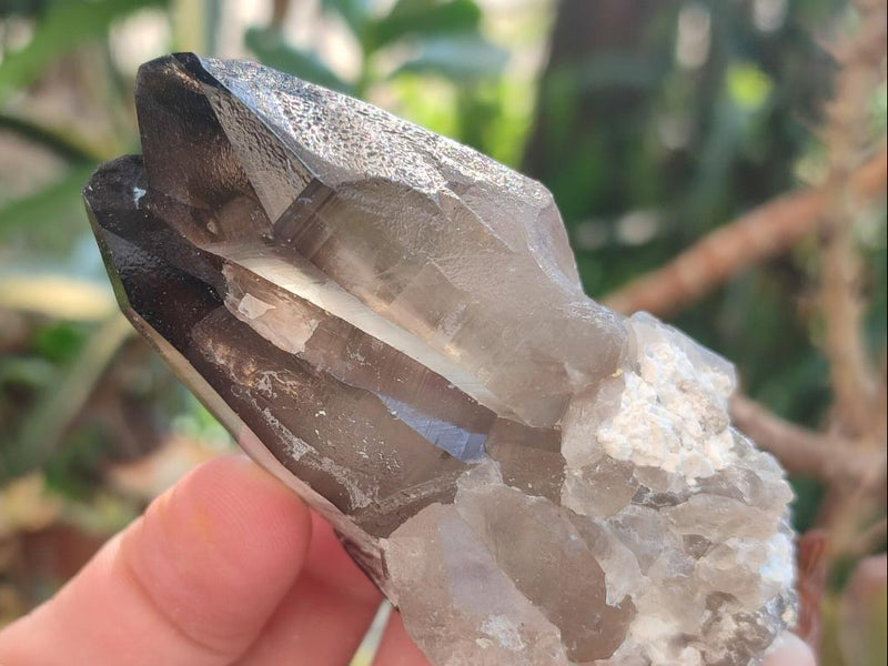 Natural Mix of Smokey Quartz Crystals x 19 From Erongo, Namibia - Toprock Gemstones and Minerals 