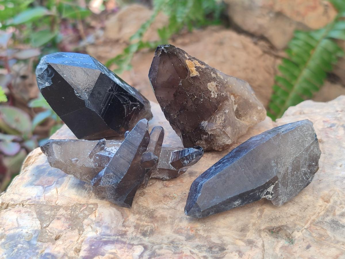 Natural Mix of Smokey Quartz Crystals x 19 From Erongo, Namibia - Toprock Gemstones and Minerals 
