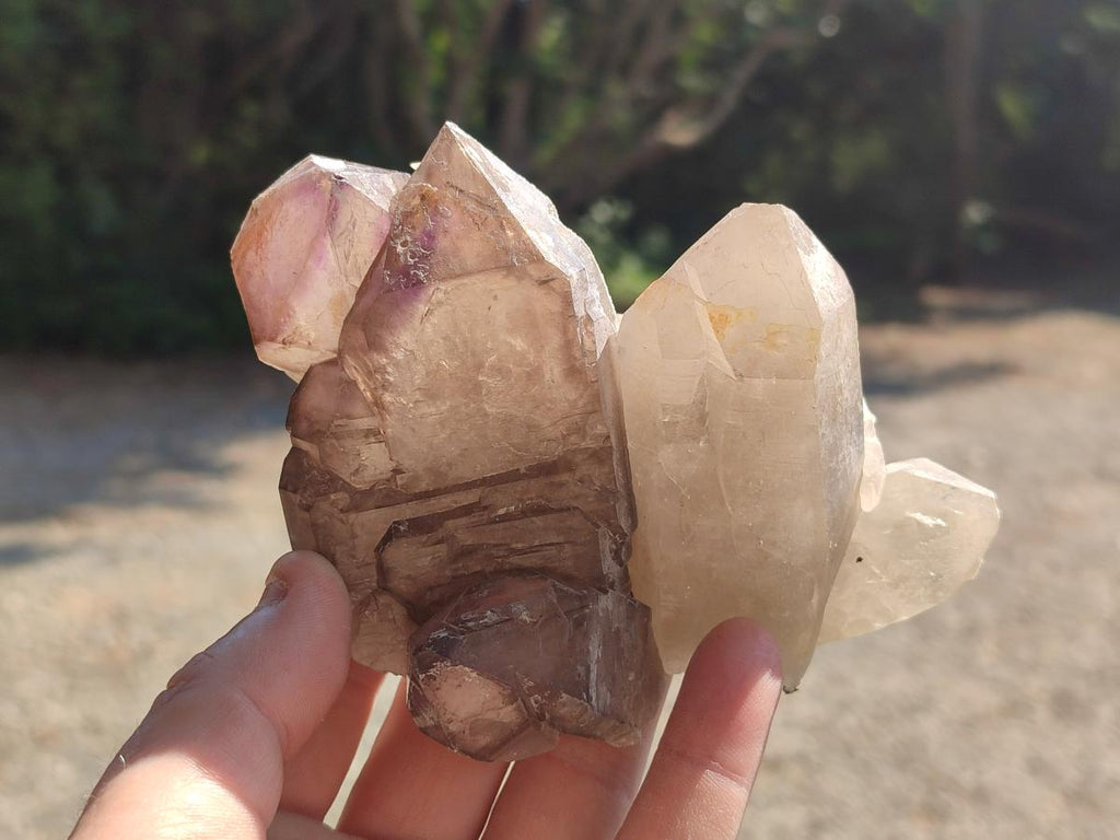 Natural Mix of Smokey Quartz Crystals x 19 From Erongo, Namibia - Toprock Gemstones and Minerals 