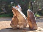 Natural Mix of Smokey Quartz Crystals x 19 From Erongo, Namibia - Toprock Gemstones and Minerals 