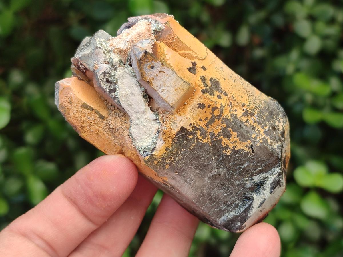 Natural Mix of Smokey Quartz Crystals x 19 From Erongo, Namibia - Toprock Gemstones and Minerals 