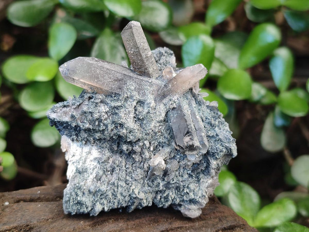 Natural Mix of Smokey Quartz Crystals x 19 From Erongo, Namibia - Toprock Gemstones and Minerals 