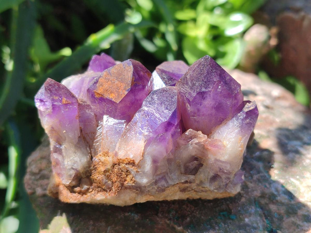 Natural Chevron Amethyst Clusters x 16 From Zambia - Toprock Gemstones and Minerals 