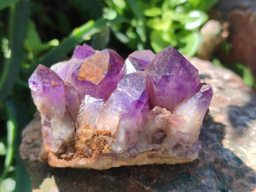 Natural Chevron Amethyst Clusters x 16 From Zambia - Toprock Gemstones and Minerals 