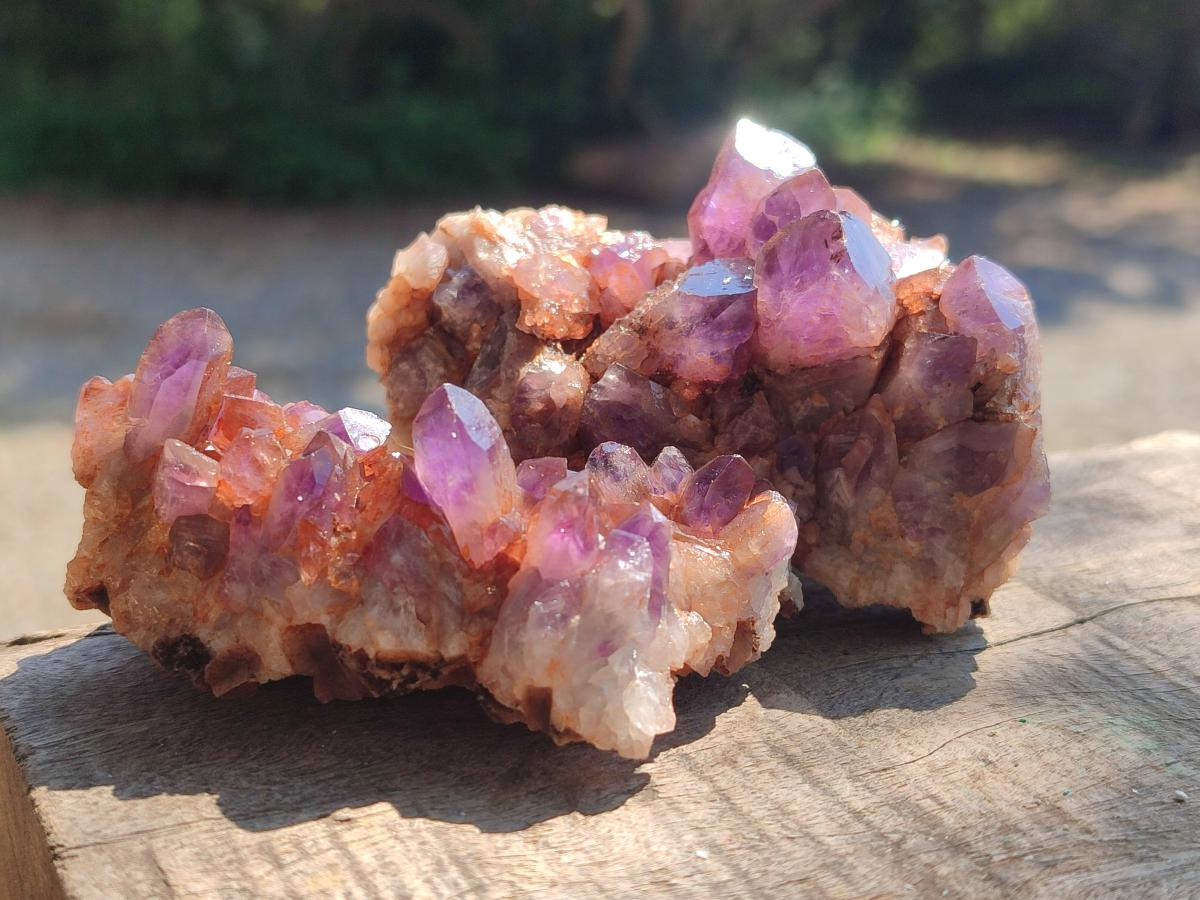 Natural Chevron Amethyst Clusters x 16 From Zambia - Toprock Gemstones and Minerals 
