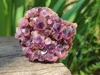 Natural Chevron Amethyst Clusters x 16 From Zambia - Toprock Gemstones and Minerals 