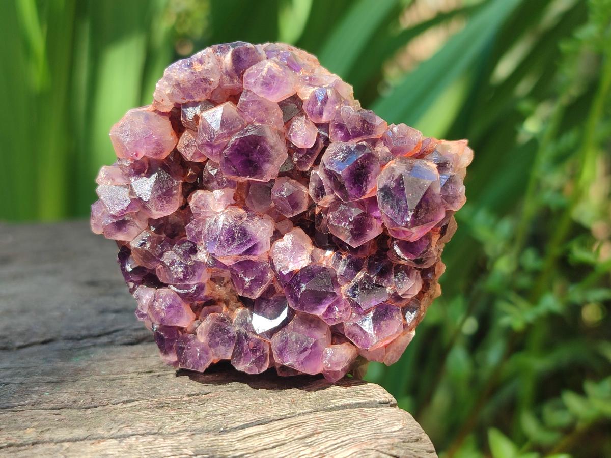 Natural Chevron Amethyst Clusters x 16 From Zambia - Toprock Gemstones and Minerals 