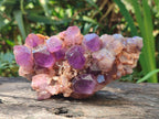 Natural Chevron Amethyst Clusters x 16 From Zambia - Toprock Gemstones and Minerals 