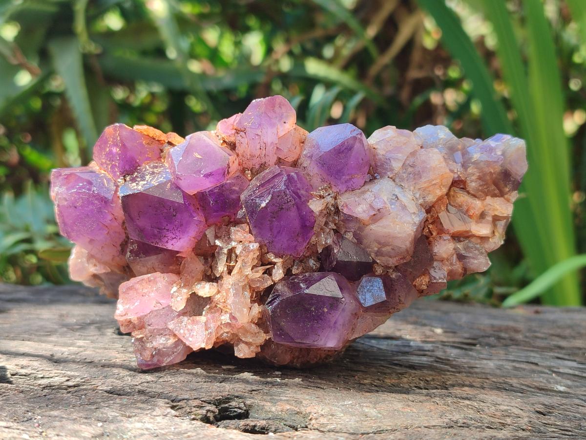 Natural Chevron Amethyst Clusters x 16 From Zambia - Toprock Gemstones and Minerals 
