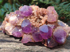 Natural Chevron Amethyst Clusters x 16 From Zambia - Toprock Gemstones and Minerals 