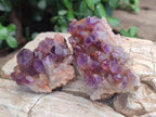 Natural Chevron Amethyst Clusters x 16 From Zambia - Toprock Gemstones and Minerals 