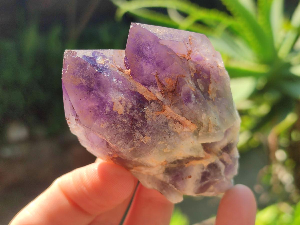 Natural Chevron Amethyst Clusters x 16 From Zambia - Toprock Gemstones and Minerals 
