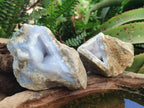 Natural Blue Lace Agate Specimens x 12 From Nsanje, Malawi - Toprock Gemstones and Minerals 