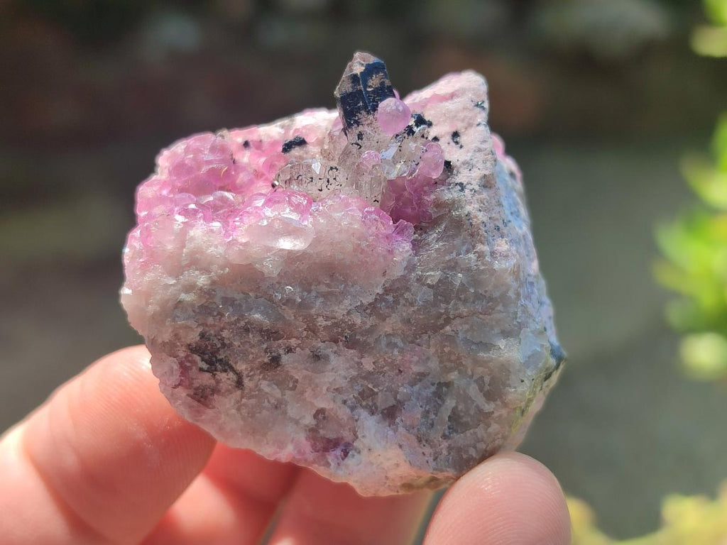 Natural Spherocobaltite Specimens x 12 From Mashamba West Mine, Congo - Toprock Gemstones and Minerals 