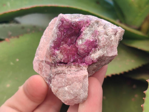 Natural Spherocobaltite Specimens x 12 From Mashamba West Mine, Congo - Toprock Gemstones and Minerals 