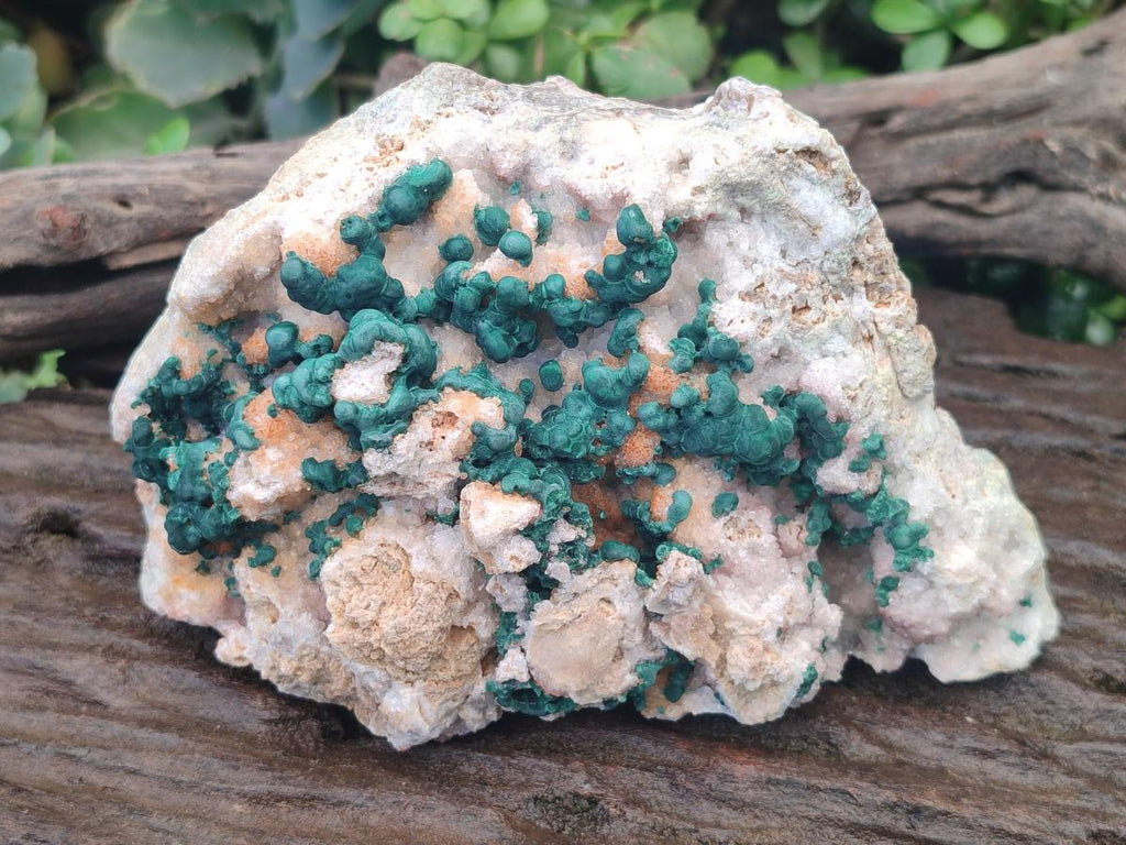 Natural Large Cabinet Size Ball Malachite Specimen with Quartz on White Dolomite Matrix x 1 From Mindingi Mine, Kambove, Congo - Toprock Gemstones and Minerals 