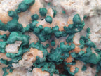 Natural Large Cabinet Size Ball Malachite Specimen with Quartz on White Dolomite Matrix x 1 From Mindingi Mine, Kambove, Congo - Toprock Gemstones and Minerals 