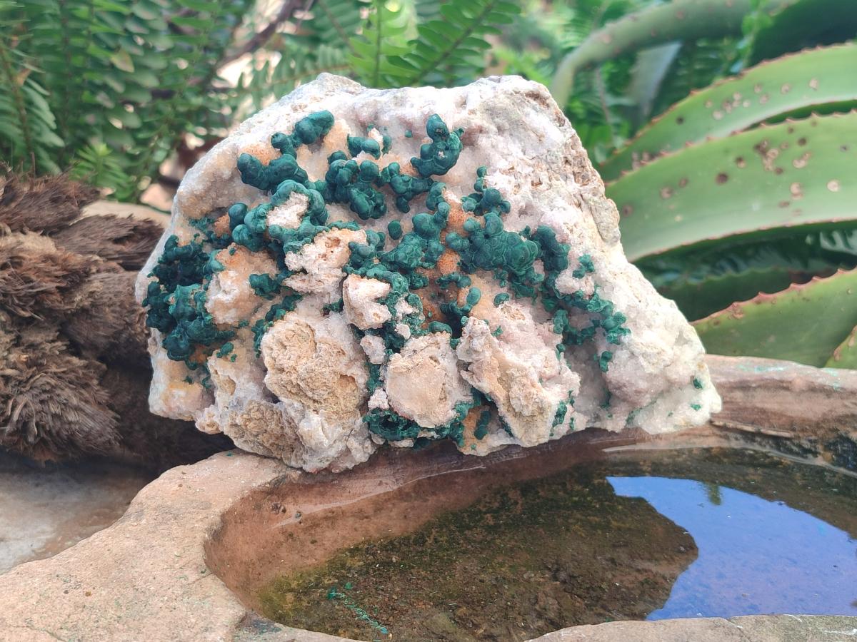 Natural Large Cabinet Size Ball Malachite Specimen with Quartz on White Dolomite Matrix x 1 From Mindingi Mine, Kambove, Congo - Toprock Gemstones and Minerals 