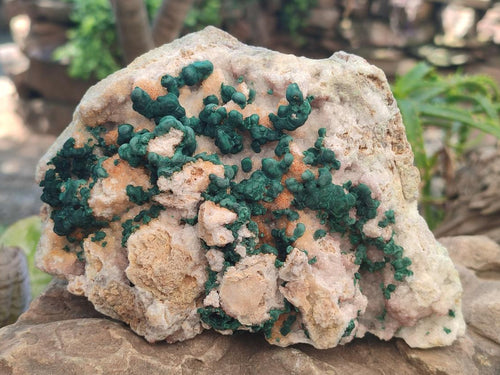 Natural Large Cabinet Size Ball Malachite Specimen with Quartz on White Dolomite Matrix x 1 From Mindingi Mine, Kambove, Congo - Toprock Gemstones and Minerals 