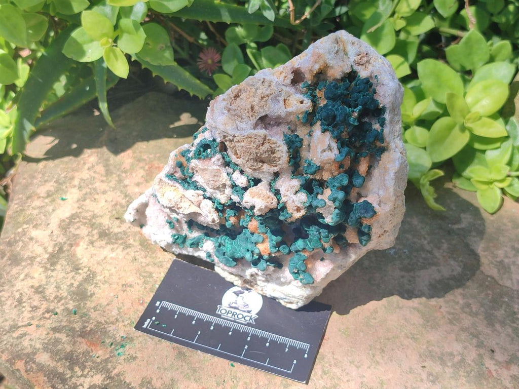 Natural Large Cabinet Size Ball Malachite Specimen with Quartz on White Dolomite Matrix x 1 From Mindingi Mine, Kambove, Congo - Toprock Gemstones and Minerals 