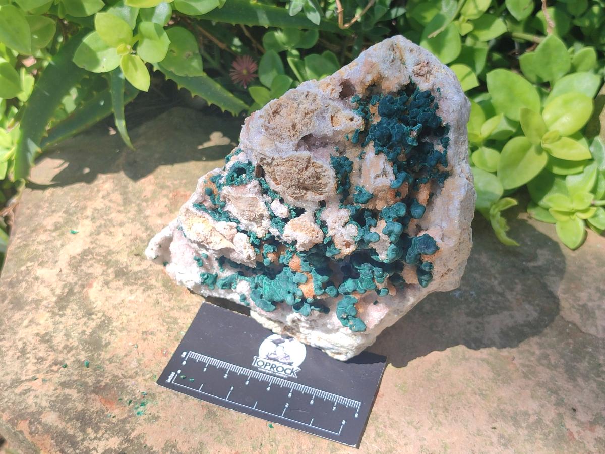 Natural Large Cabinet Size Ball Malachite Specimen with Quartz on White Dolomite Matrix x 1 From Mindingi Mine, Kambove, Congo - Toprock Gemstones and Minerals 