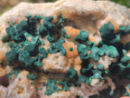 Natural Large Cabinet Size Ball Malachite Specimen with Quartz on White Dolomite Matrix x 1 From Mindingi Mine, Kambove, Congo - Toprock Gemstones and Minerals 