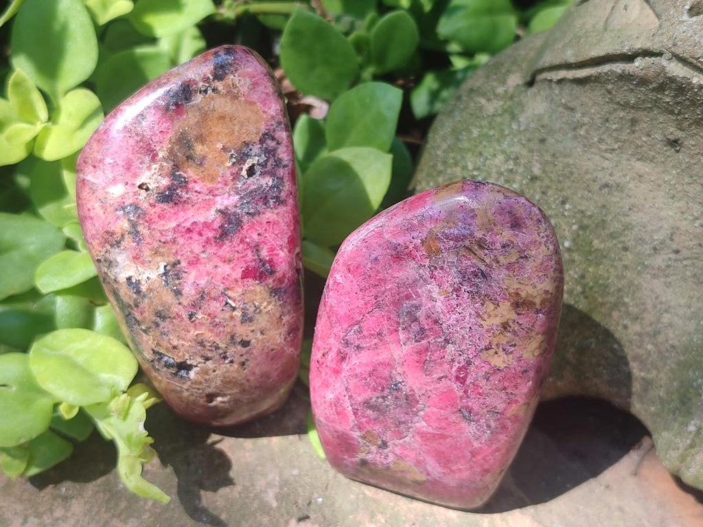 Polished Rhodonite Standing Display Pieces and Free Forms x 4 From Rhusinga, Zimbabwe - Toprock Gemstones and Minerals 