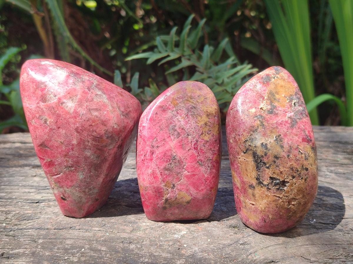 Polished Rhodonite Standing Display Pieces and Free Forms x 4 From Rhusinga, Zimbabwe - Toprock Gemstones and Minerals 