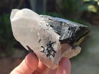 Natural Large Mix of Schorl Black Tourmaline Crystal Clusters x 6 From Erongo, Namibia - Toprock Gemstones and Minerals 