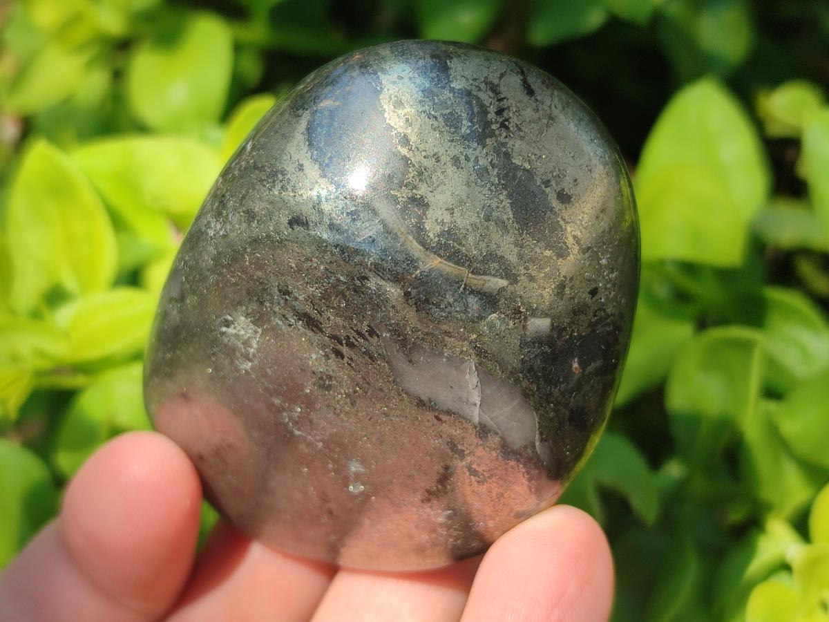 Polished Basalt Pharaoh Stone Free Forms x 6 From Iron Duke Mine, Zimbabwe - Toprock Gemstones and Minerals 