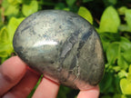 Polished Basalt Pharaoh Stone Free Forms x 6 From Iron Duke Mine, Zimbabwe - Toprock Gemstones and Minerals 