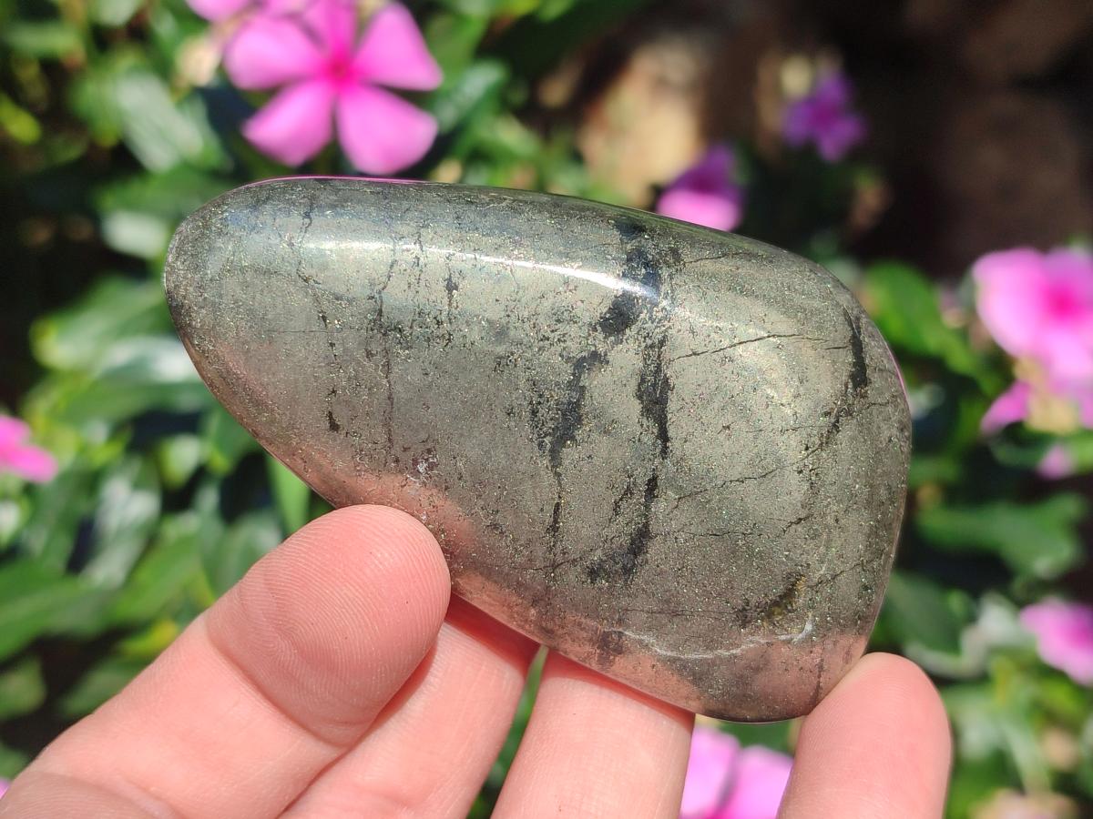 Polished Basalt Pharaoh Stone Free Forms x 6 From Iron Duke Mine, Zimbabwe - Toprock Gemstones and Minerals 