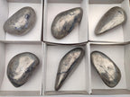 Polished Basalt Pharaoh Stone Free Forms x 6 From Iron Duke Mine, Zimbabwe - Toprock Gemstones and Minerals 