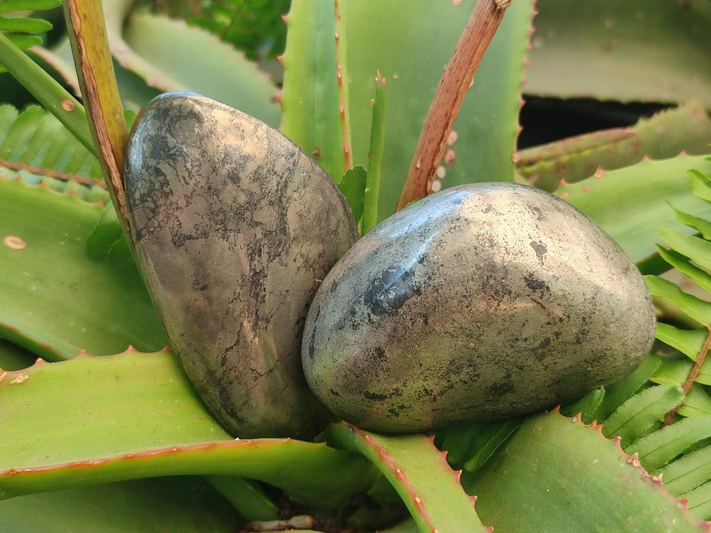 Polished Basalt Pharaoh Stone Free Forms x 6 From Iron Duke Mine, Zimbabwe - Toprock Gemstones and Minerals 