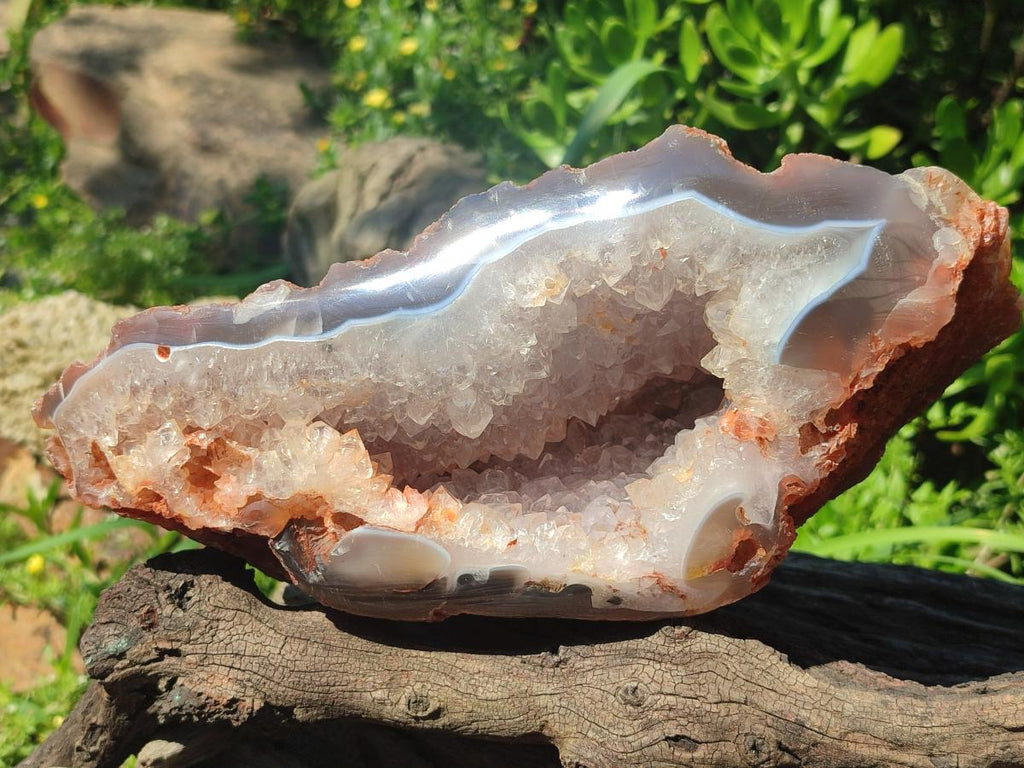 Polished and Natural Large Banded Agate Geode with Crystalline Centre x 1 From Maintirano, Madagascar - Toprock Gemstones and Minerals 