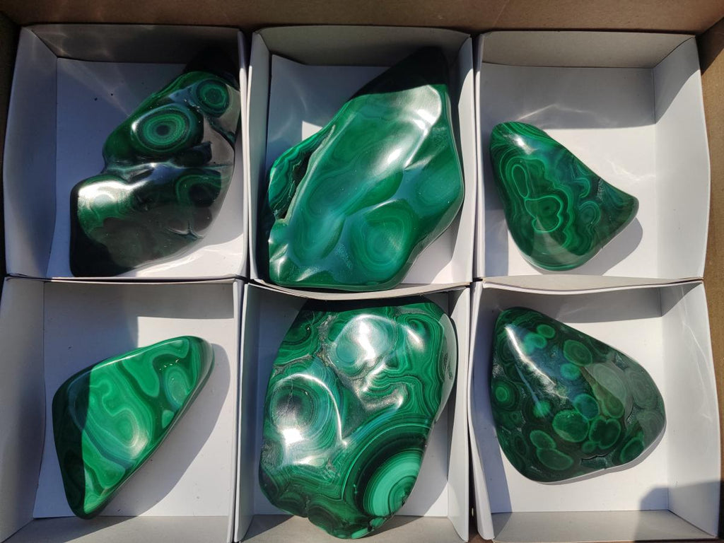 Polished and Natural Flower Banded Malachite Free Forms x 6 From Congo - Toprock Gemstones and Minerals 