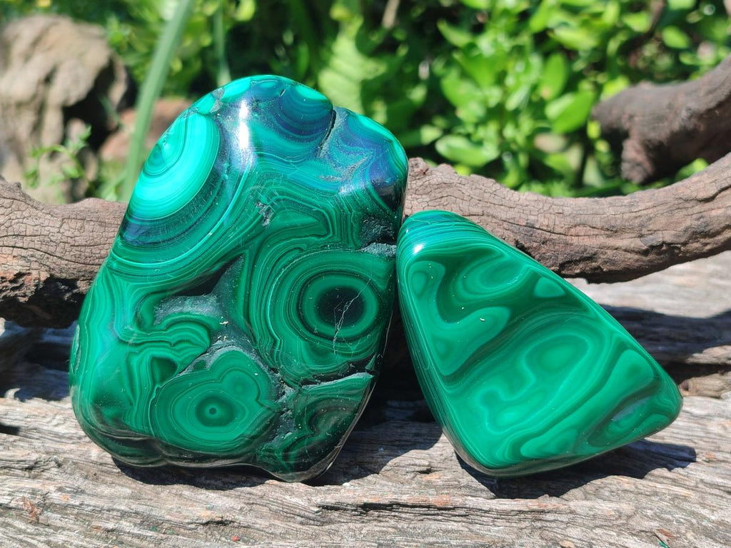 Polished and Natural Flower Banded Malachite Free Forms x 6 From Congo - Toprock Gemstones and Minerals 