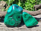 Polished and Natural Flower Banded Malachite Free Forms x 6 From Congo - Toprock Gemstones and Minerals 