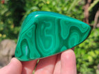 Polished and Natural Flower Banded Malachite Free Forms x 6 From Congo - Toprock Gemstones and Minerals 