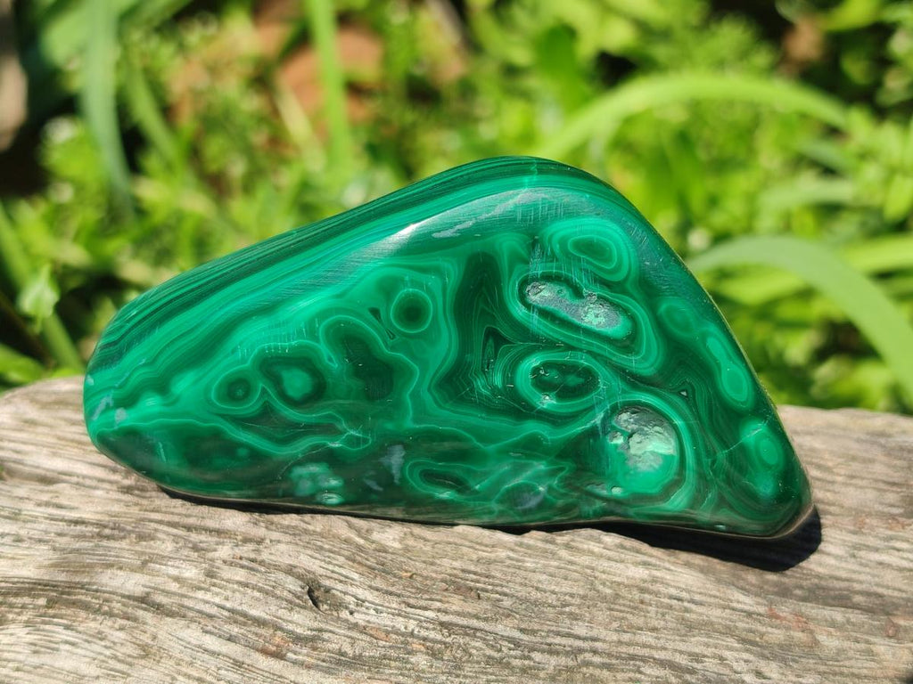 Polished and Natural Flower Banded Malachite Free Forms x 6 From Congo - Toprock Gemstones and Minerals 