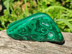 Polished and Natural Flower Banded Malachite Free Forms x 6 From Congo - Toprock Gemstones and Minerals 