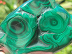 Polished and Natural Flower Banded Malachite Free Forms x 6 From Congo - Toprock Gemstones and Minerals 