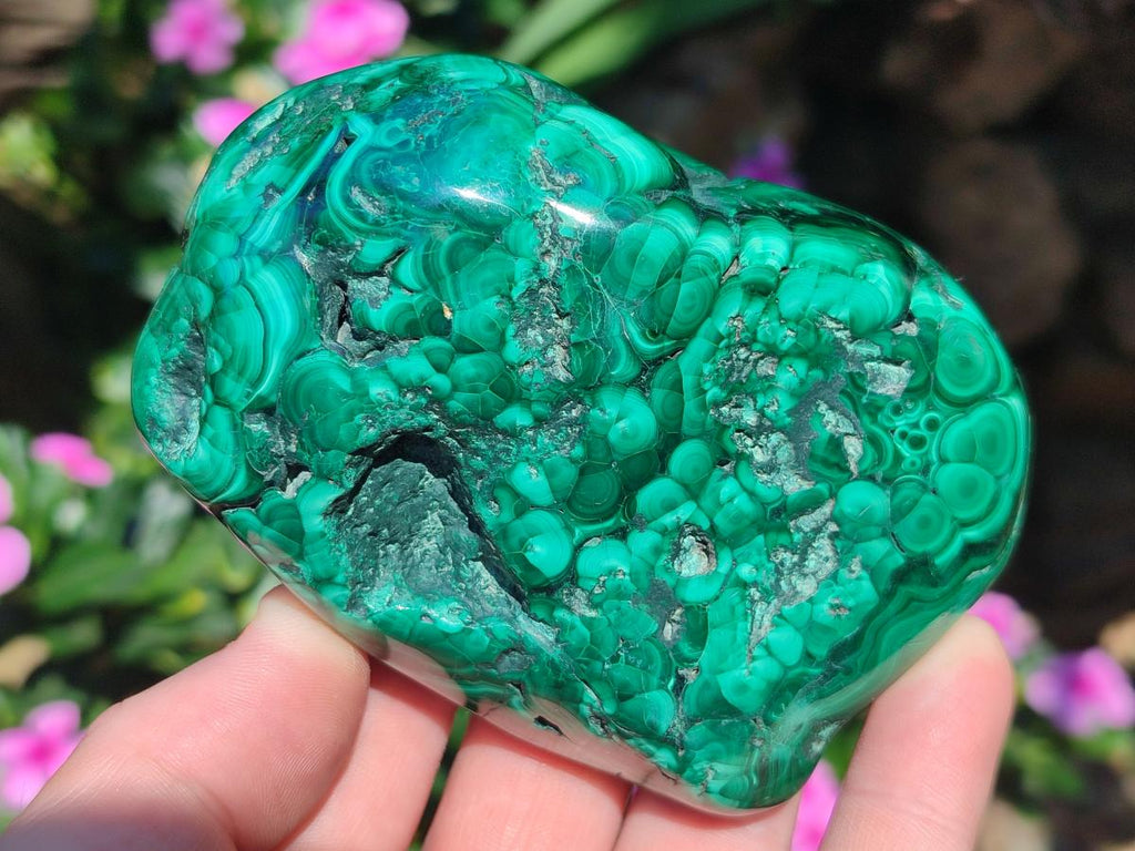 Polished and Natural Flower Banded Malachite Free Forms x 6 From Congo - Toprock Gemstones and Minerals 