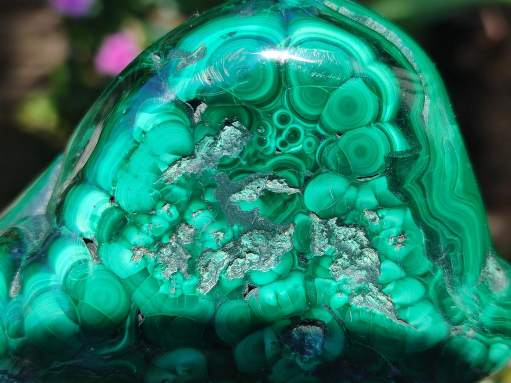 Polished and Natural Flower Banded Malachite Free Forms x 6 From Congo - Toprock Gemstones and Minerals 