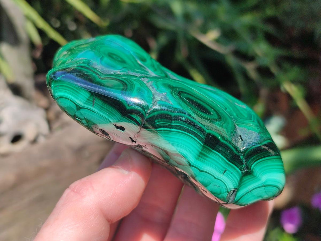 Polished and Natural Flower Banded Malachite Free Forms x 6 From Congo - Toprock Gemstones and Minerals 