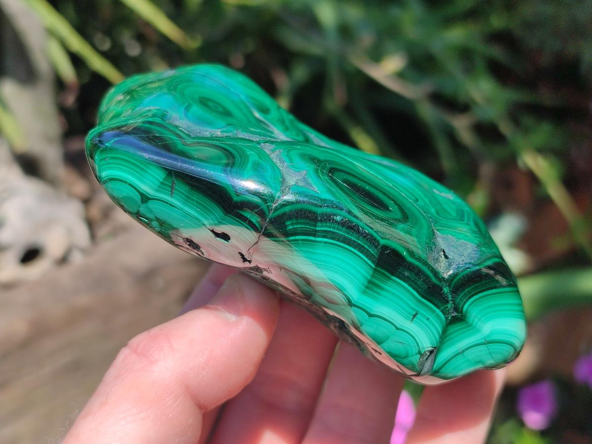 Polished and Natural Flower Banded Malachite Free Forms x 6 From Congo - Toprock Gemstones and Minerals 