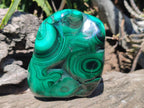 Polished and Natural Flower Banded Malachite Free Forms x 6 From Congo - Toprock Gemstones and Minerals 