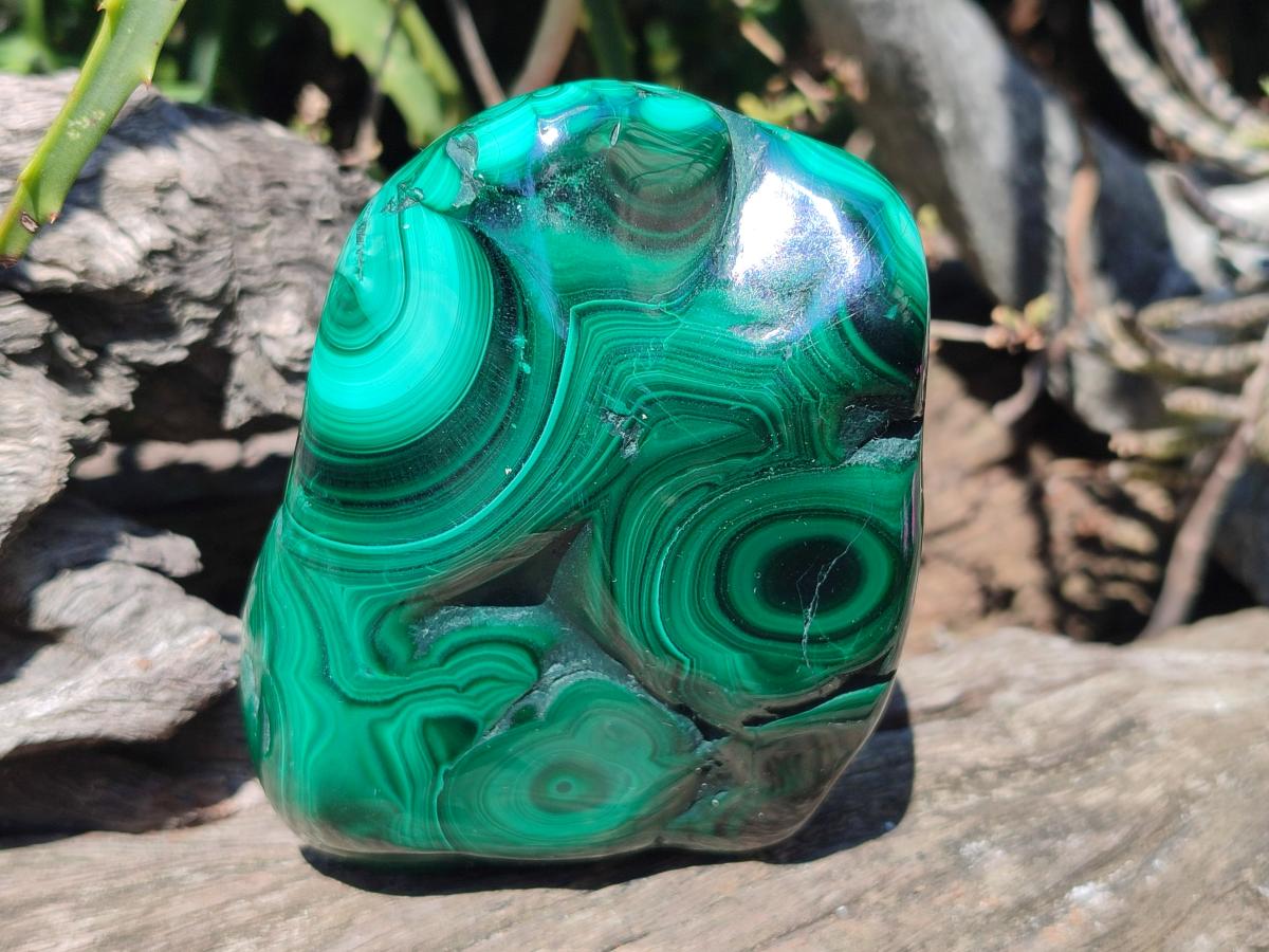Polished and Natural Flower Banded Malachite Free Forms x 6 From Congo - Toprock Gemstones and Minerals 