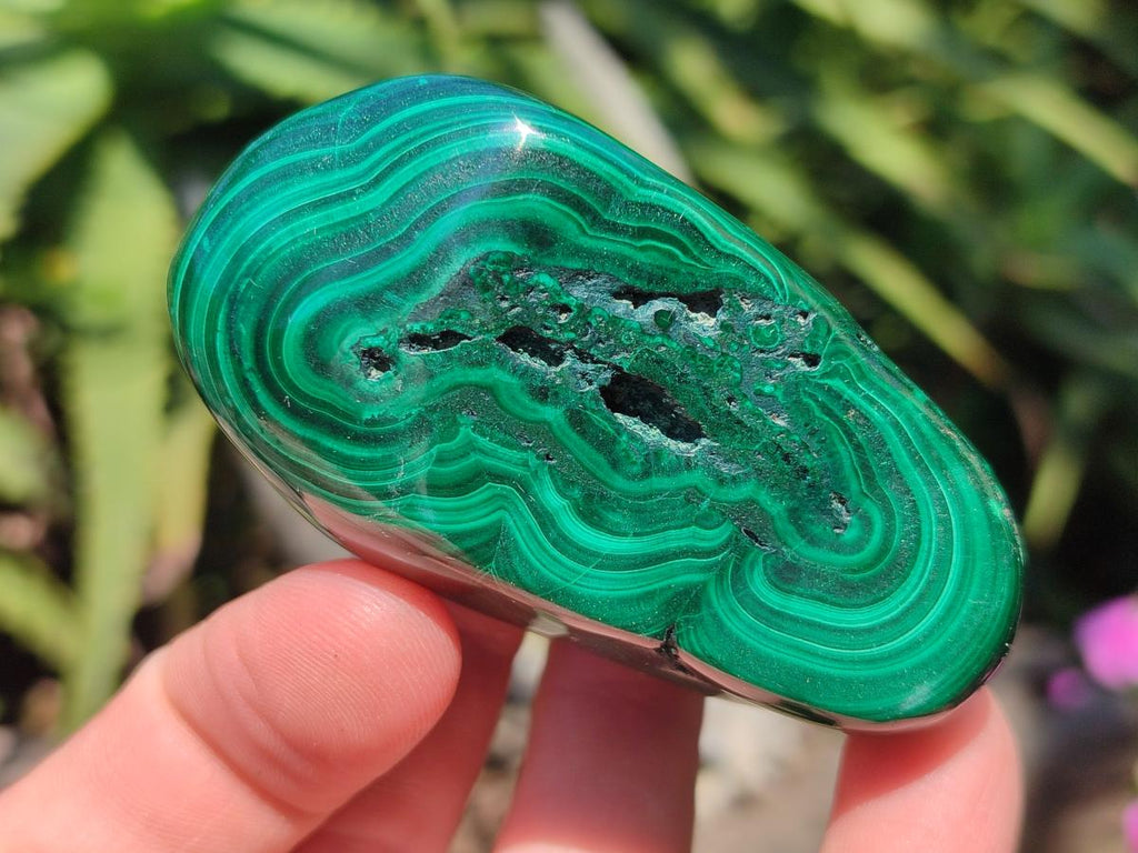 Polished and Natural Flower Banded Malachite Free Forms x 6 From Congo - Toprock Gemstones and Minerals 