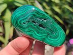 Polished and Natural Flower Banded Malachite Free Forms x 6 From Congo - Toprock Gemstones and Minerals 